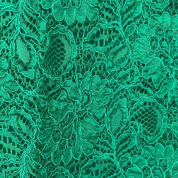 Anthropologie Mignon Doo Lace Veiled Pencil Skirt, Medium, Green - Picture 2 of 8